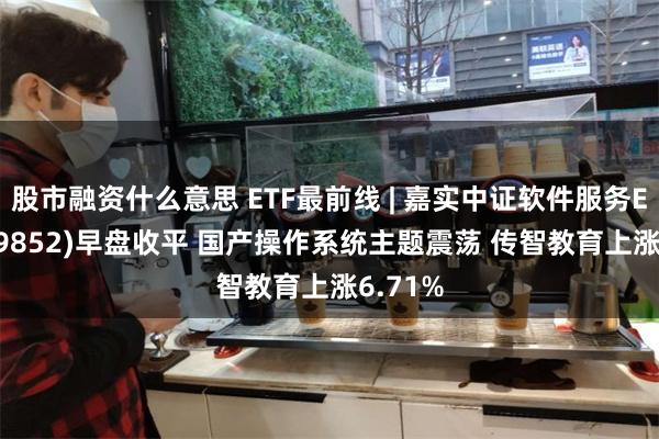 股市融资什么意思 ETF最前线 | 嘉实中证软件服务ETF(159852)早盘收平 国产操作系统主题震荡 传智教育上涨6.71%