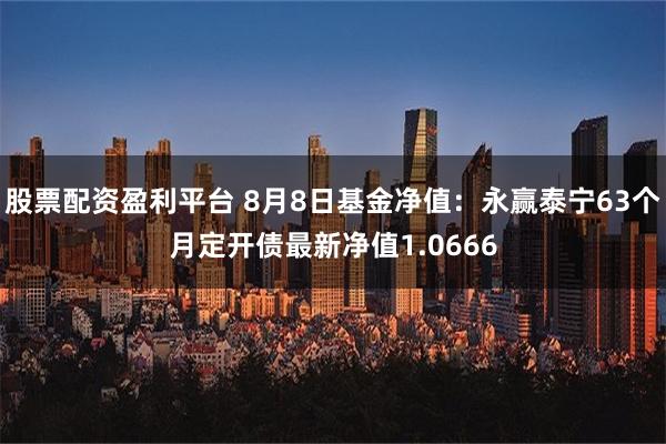 股票配资盈利平台 8月8日基金净值：永赢泰宁63个月定开债最新净值1.0666