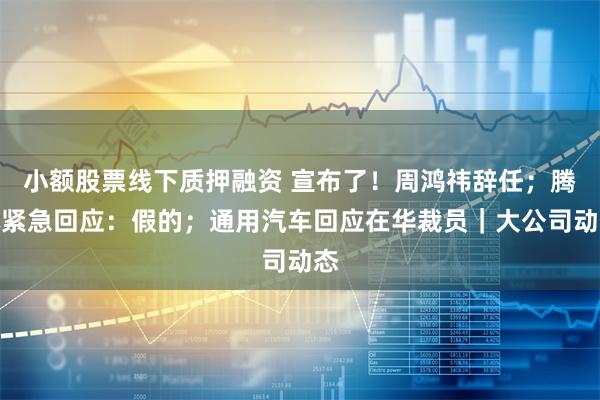 小额股票线下质押融资 宣布了！周鸿祎辞任；腾讯紧急回应：假的；通用汽车回应在华裁员｜大公司动态