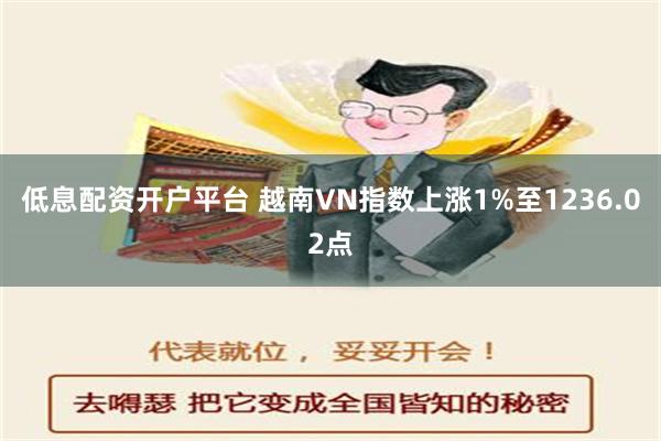 低息配资开户平台 越南VN指数上涨1%至1236.02点