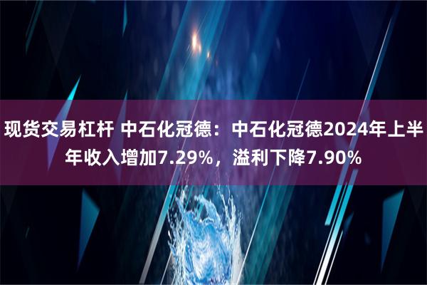 现货交易杠杆 中石化冠德：中石化冠德2024年上半年收入增加7.29%，溢利下降7.90%