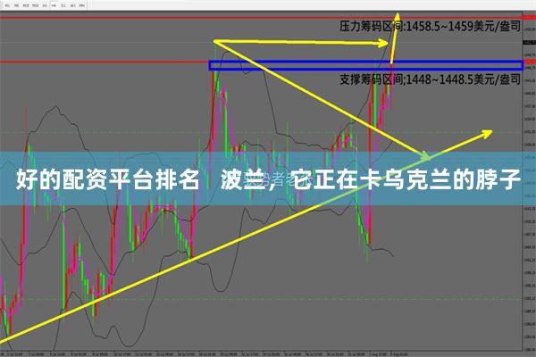 好的配资平台排名   波兰，它正在卡乌克兰的脖子