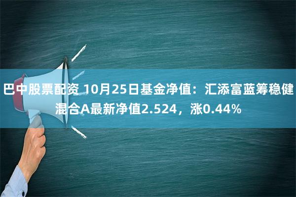 巴中股票配资 10月25日基金净值：汇添富蓝筹稳健混合A最新净值2.524，涨0.44%