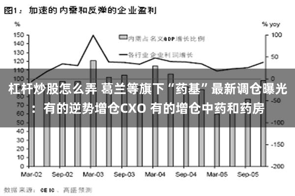 杠杆炒股怎么弄 葛兰等旗下“药基”最新调仓曝光：有的逆势增仓CXO 有的增仓中药和药房