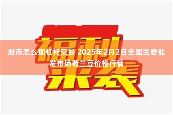 股市怎么加杠杆交易 2025年2月2日全国主要批发市场荷兰豆价格行情