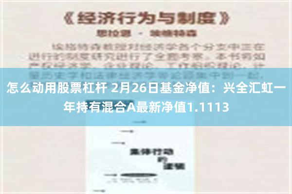 怎么动用股票杠杆 2月26日基金净值：兴全汇虹一年持有混合A最新净值1.1113